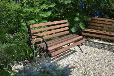 Yazın güneşli bir havada bir çalılığın yanındaki küçük taşların üzerinde bir bank durur. Rahatlamak için yer