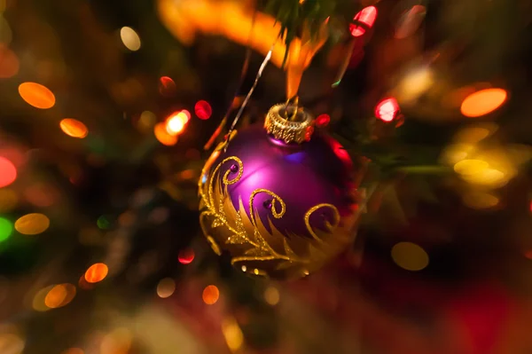 Mor Noel önemsiz şey Noel ağacı üzerinde