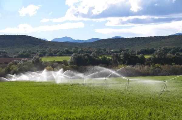 Irrigazione, agricoltura Foto Stock Royalty Free