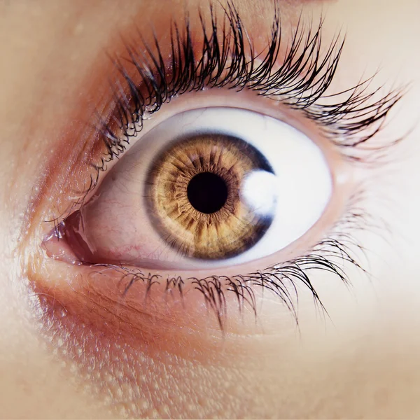 Human eye — Stock Photo, Image