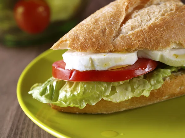 Sandwich aux légumes . — Photo