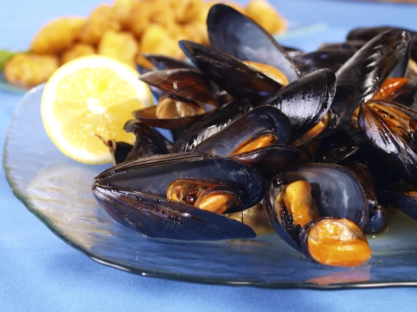 Steamed Mussels — Stock Photo, Image