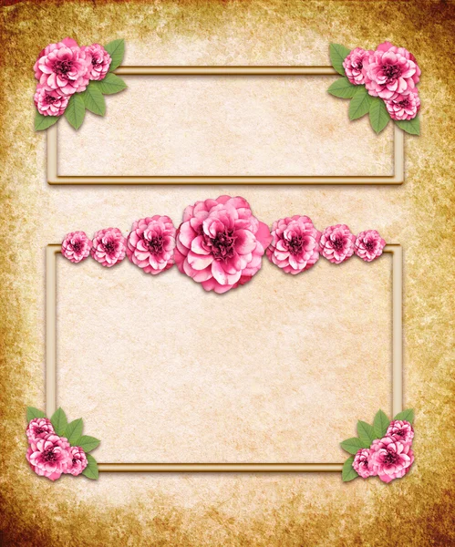 Vintage floral template for photo and text — Stock Photo, Image