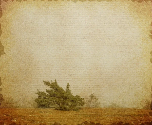 Vintage landscape — Stock Photo, Image