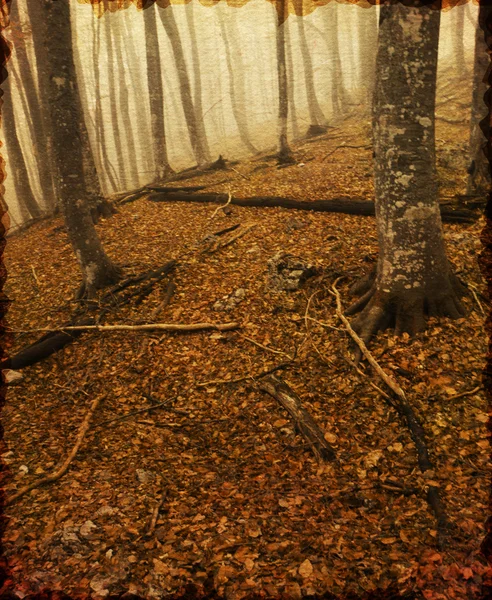 Vintage landscape — Stock Photo, Image