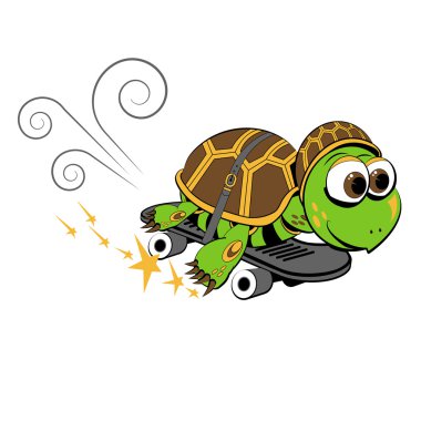 bir kaykay üzerinde turtle