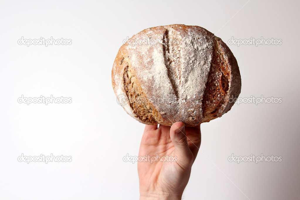 Bread of the Day