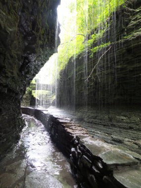 Ormanda güzel bir şelale