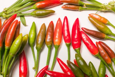 Bir demet kırmızı biber.