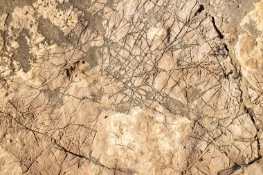 Antik deniz kayalarında aşınma izleri