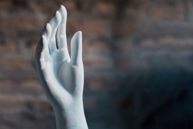 Model manken kolunu göster