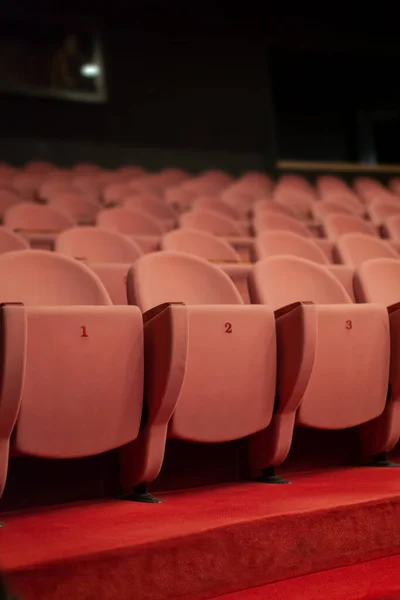 Empty Theater Seats Audience — Stock Photo, Image
