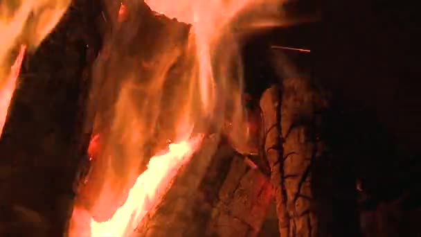 Slow Motion Of Camp Fire — Stock Video