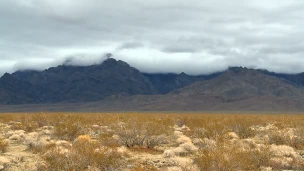 Lapso de tempo das nuvens de tempestade do deserto de mojave — Vídeo de Stock