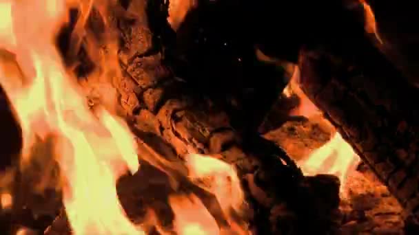 Медленное движение огня в лагере — стоковое видео