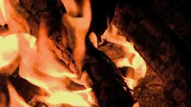 Slow Motion of Camp Fire — Stock Video