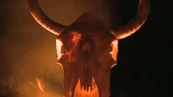Krowa czaszki z płomieni i ognia — Wideo stockowe