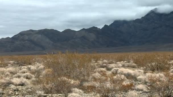 Lapso de tempo das nuvens de tempestade do deserto de mojave — Vídeo de Stock