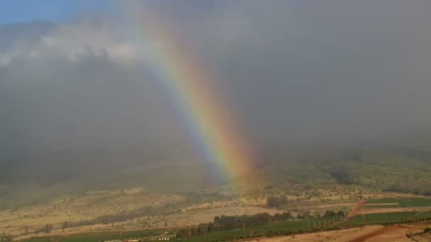 Hawaiian Rainbow — Stock Video