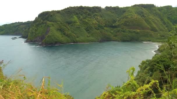 Tropikal hawaiian bay - tilt shift — Stok video