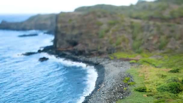 Tropiska hawaiian bay - tilt shift — Stockvideo