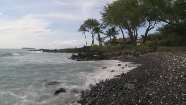 Playa tropical — Vídeo de stock