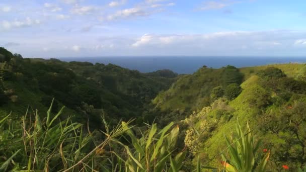 Vallée tropicale 
