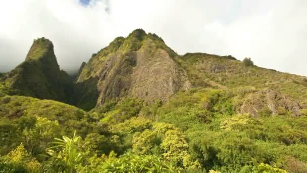 Valle Hawaii — Vídeos de Stock