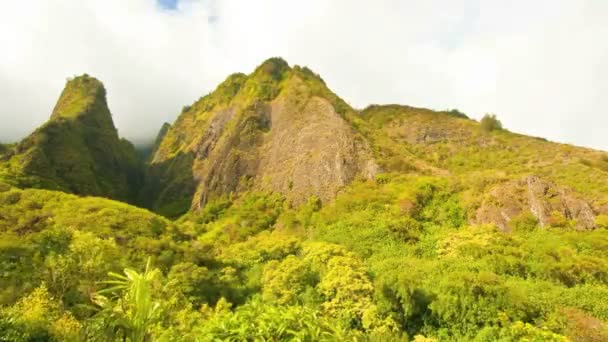 Vadi hawaii — Stok video