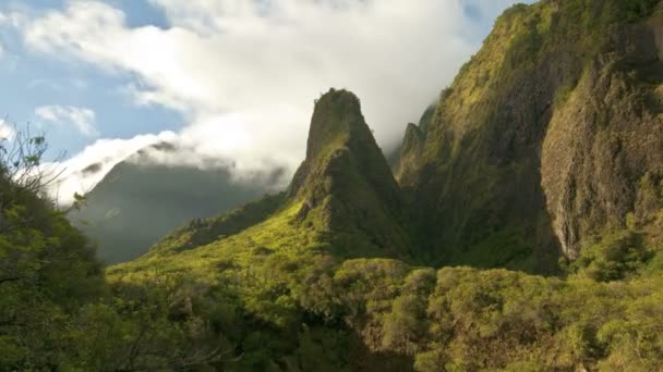 IAO vallei hawaii — Stockvideo