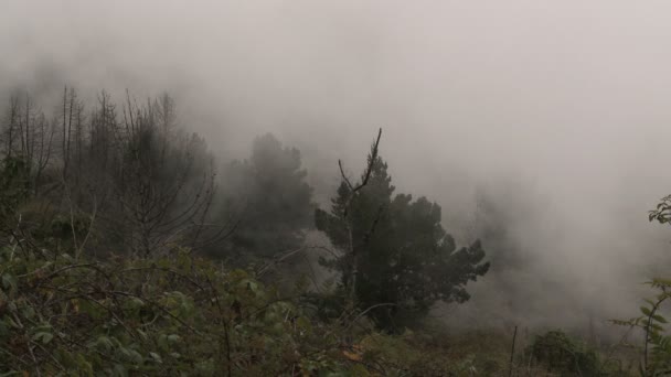 Nuvens de montanha — Vídeo de Stock