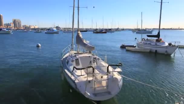 Время стоянки катеров в гавани Сан-Диего — стоковое видео