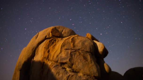 Time Lapse di Joshua Tree Stelle e paesaggio di notte — Video Stock