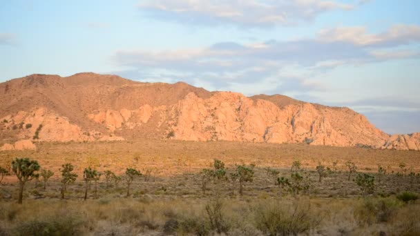 Sunset in the Desert — Stock Video