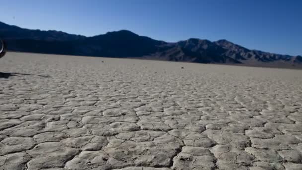 Pan i öknen golvet - death valley — Stockvideo