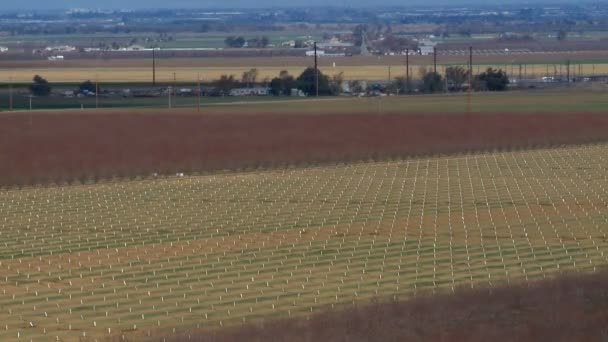 Zeitraffer eines landwirtschaftlichen Feldes — Stockvideo