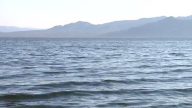 salton Denizi Kaliforniya