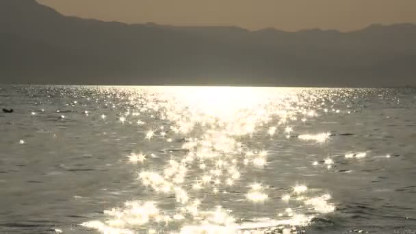 Goldene Sonnenreflexion vor dem salzigen Meer — Stockvideo