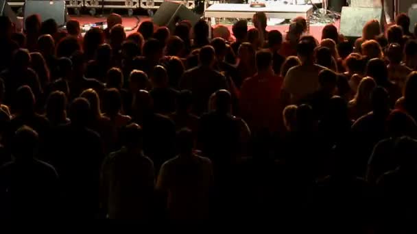 Time Lapse of Crowd (em inglês) no Rock Concert — Vídeo de Stock