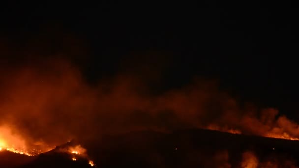 Tijdspanne van bosbrand nachts — Stockvideo