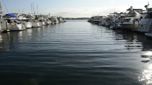 Time Lapse de Marina à San Diego — Video