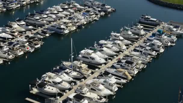 Time Lapse de Marina en San Diego — Vídeo de stock