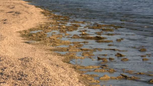 O Mar de Salton Califórnia — Vídeo de Stock