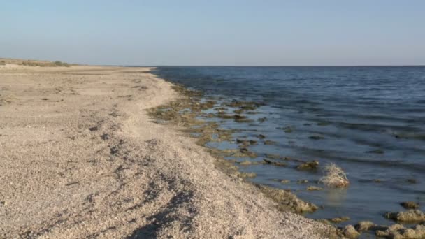 La mer de Salton Californie — Video