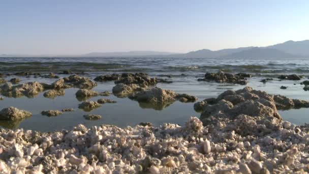 Каліфорнія Солтона море — стокове відео