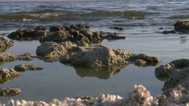 Το salton θάλασσα Καλιφόρνια — Αρχείο Βίντεο