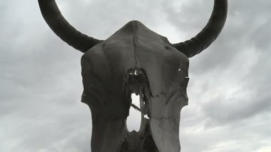 zaman sukut bulutlar & inek kafatası