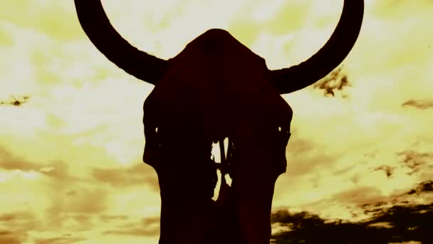 雲 & 牛の頭蓋骨の時間経過 — ストック動画