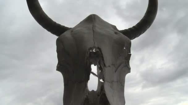 Tiempo de caducidad de nubes y cráneo de vaca — Vídeo de stock