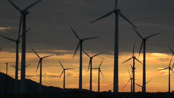 Molinos de viento en el desierto de California al atardecer — Vídeos de Stock